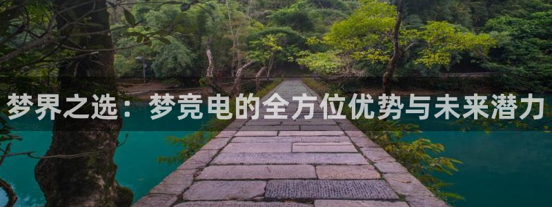 南宫电竞网：梦界之选：梦竞电的全方位优势与未来潜力