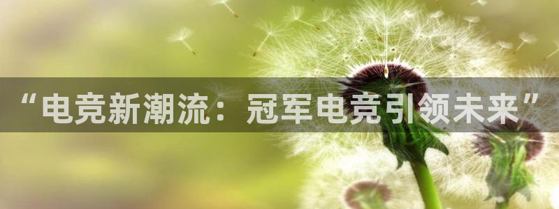 南宫电竞官网：“电竞新潮流：冠军电竞引领未来”
