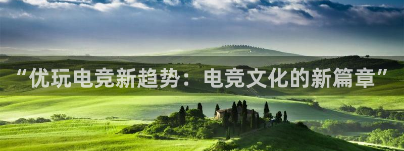 南宫电竞网：“优玩电竞新趋势：电竞文化的新篇章”
