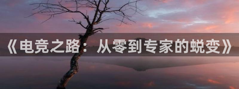 南宫电竞官网：《电竞之路：从零到专家的蜕变》