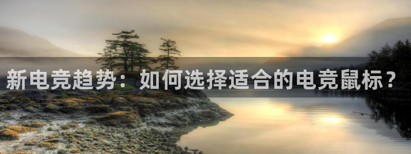 南宫电竞登陆：新电竞趋势：如何选择适合的电竞鼠标？